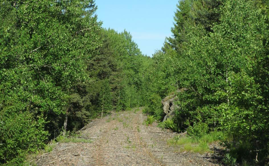 Det pågår arbeid med å etablere GS-veg på den nedlagte jernbanetraséen fra Neslandsvatn til Eskilt hvor turvegen skal starte. GS-vegen går langs Neslandsvatn og følger fylkesveg 256.