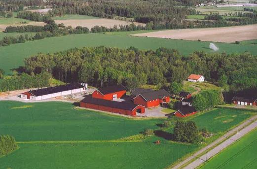 Energiforbruk på Otterstad Østre, Rygge Produksjon: kylling, grønnsaker og korn Strømforbruk: 160 000 kwh årlig Gass til