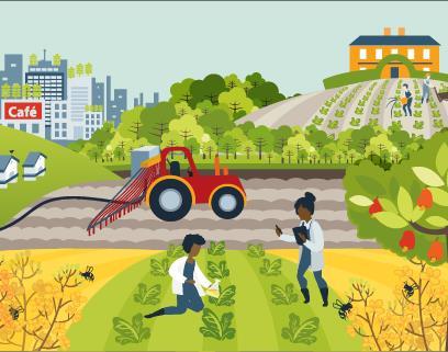 Landbruk, fornybar energi og klima Norges Vel hjelper norske bønder med kunnskap og ny teknologi, slik som solenergi