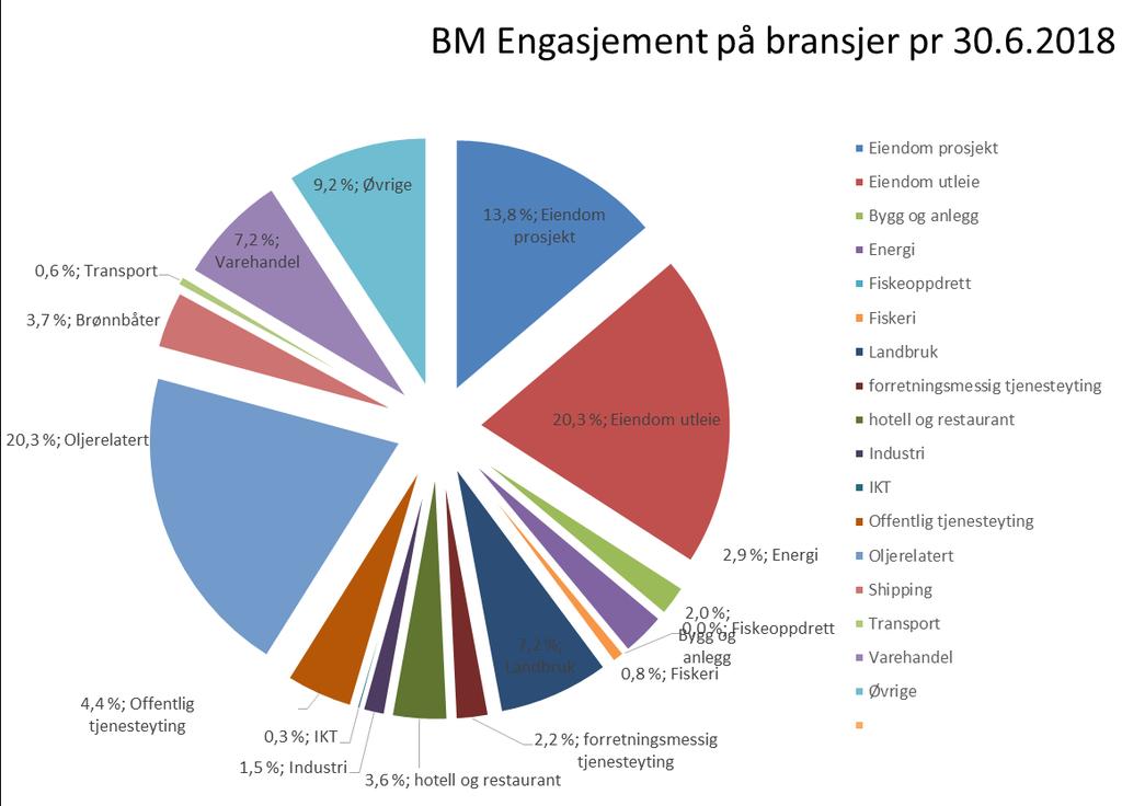 BM-engasjement fordelt på bransjar 9