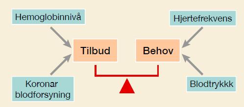 Oksygen tilbud og behov Stenoser?