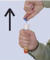 1. Paimkite Epipen automatinį injektorių į pagrindinę ranką (ranką, kuria rašote) taip, kad nykštys būtų arčiausiai mėlyno apsauginio dangtelio ir aplink prietaisą suformuokite kumštį (kad oranžinis