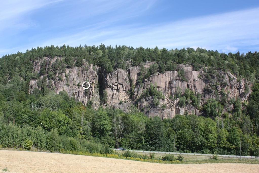 Det ble tatt kontakt med både Statens Vegvesen, Drammen Klatreklubb og Statens Naturoppsyn (SNO) og det ble sammen med Naturvernforbundet i Buskerud raskt avholdt en befaring på lokaliteten.