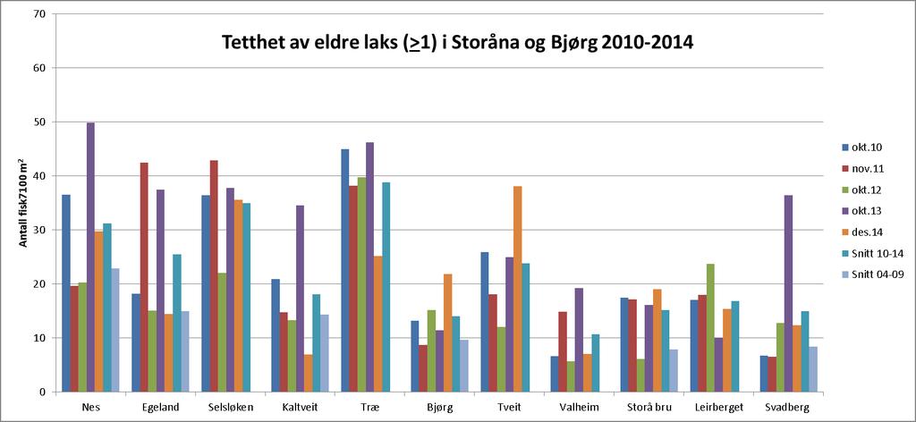 Ungfiskundersøkelser i Årdalsvassdraget høsten 2013 VEDLEGG 2 Tettheter av årsyngel og eldre fisk av laks og aure i Storåna og Bjørg,