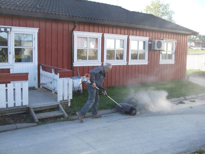 løv, oppsoping av strøsand og