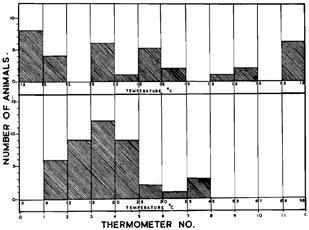 Temperaturkrav 86% av individene valgte