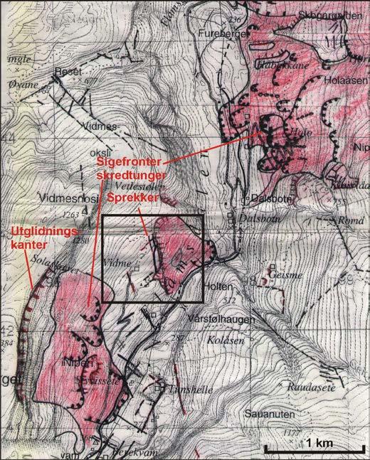3.2 Deformasjoner fjell og løsmasser Utglidningsfenomenene i Flåmsdalen og langs Aurlandsfjorden er svært store og kan sees tydelig på satellittbilder (Fig. 1).