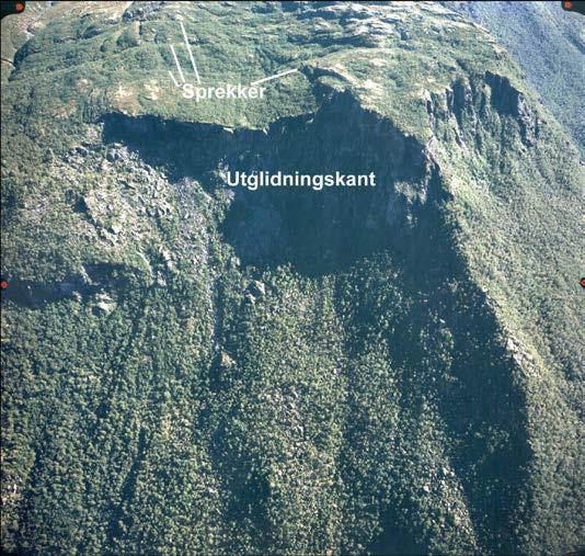 3 Utglidningskanter og spor etter store fjellskred og sig i løsmasser Langs hele den østlige dalsida i Flåmsdalen og på østsida av Aurlandsfjorden ut til Otnes er det en serie av utglidningskanter