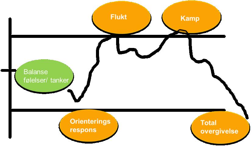 Ved fare og frykt vil kroppen først orientere oss mot hva det er som skjer (orienteringsrespons).