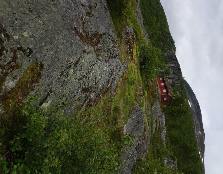 Terrenget opp til hytta er prega av berg oppe i dagen med fråverande eller tynt lag av lausmasse/vegetasjon. Tiltaket må vurderast mot miljørettslege prinispp i naturmangfaldlova 8-12, jf. 7.