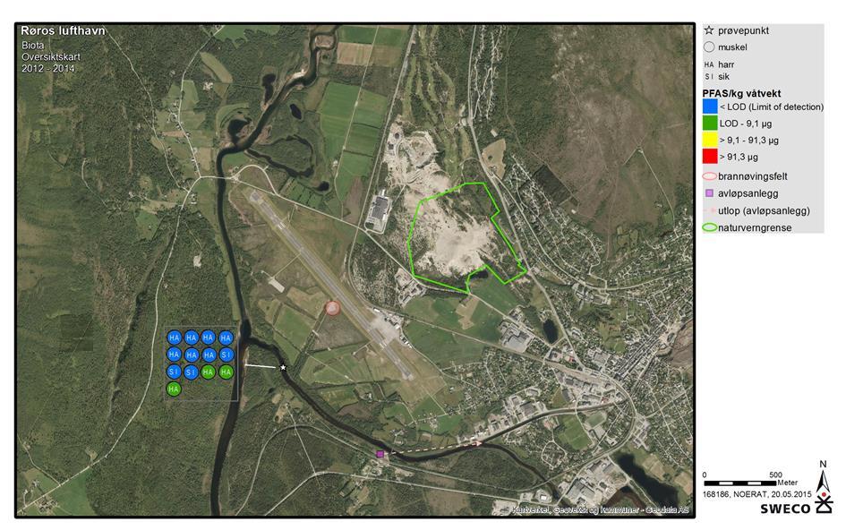 Figur 6-6. Oversiktskart over Røros lufthavn med inntegnet brannøringsfelt og påviste konsentrasjoner i muskelprøver av tre sik og ti harr. Figur 6-7.