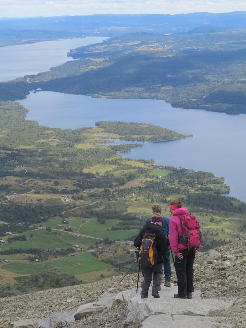 Debatten om tilrettelegging av Skogshorn Tiltak mot erosjon/slitasje - ok Tiltak for å skape en god sti er det riktig?