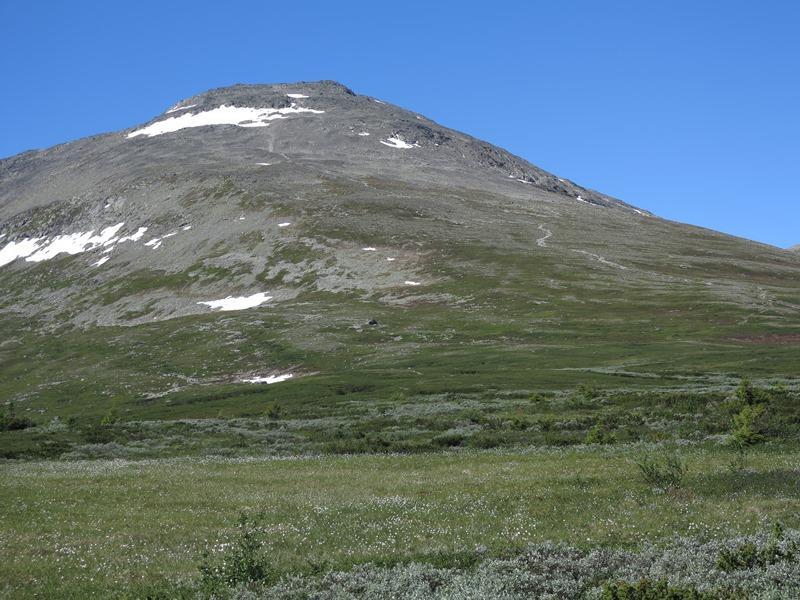 Skogshornstigen Tydelig definert hovedstig, men med flere stier som leder inn til foten av