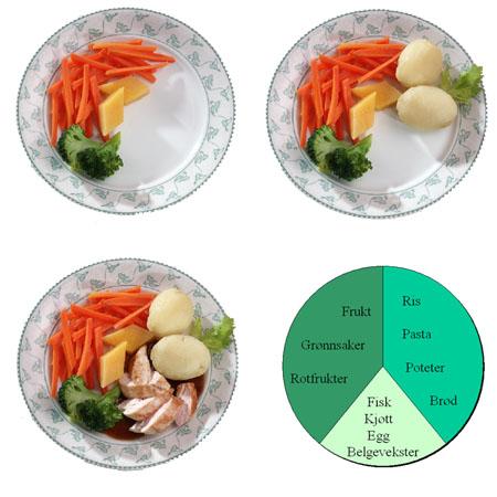 Sammensetningen av måltidet tallerkenmodellen Først legge på grønnsaker Deretter potet/pasta/ris Til
