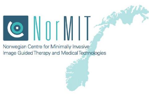 Høydepunkt i 2017 NorMIT Norge: medisinsk teknologi, IKT, nanoteknologi, translasjonsforskning og helseinnovasjon.