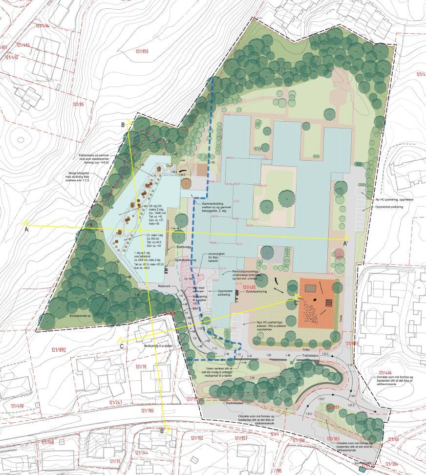 Illustrasjonsplan som viser hvor snittene går: De grønne arealene rundt institusjonsbyggene er godt egnet til, og i bruk som del av rehabiliteringstreningen.