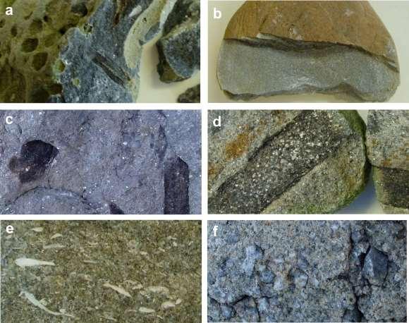 (c) Upper Jurassic sandstone with shells and coal fragments, (d) Middle-Upper Jurassic sandstone with shells and coal
