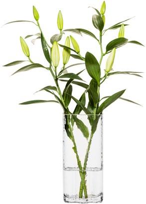 Siluett vasene finnes 2 størrelser, en lang/bredere størrelse for langstilkede blomster som f. eks. nr: 8711660 Størrelse: Ø 190 mm H 160 mm Pris: 148,00, 16 Siluett vase høy, hvit Munnblåst glass.