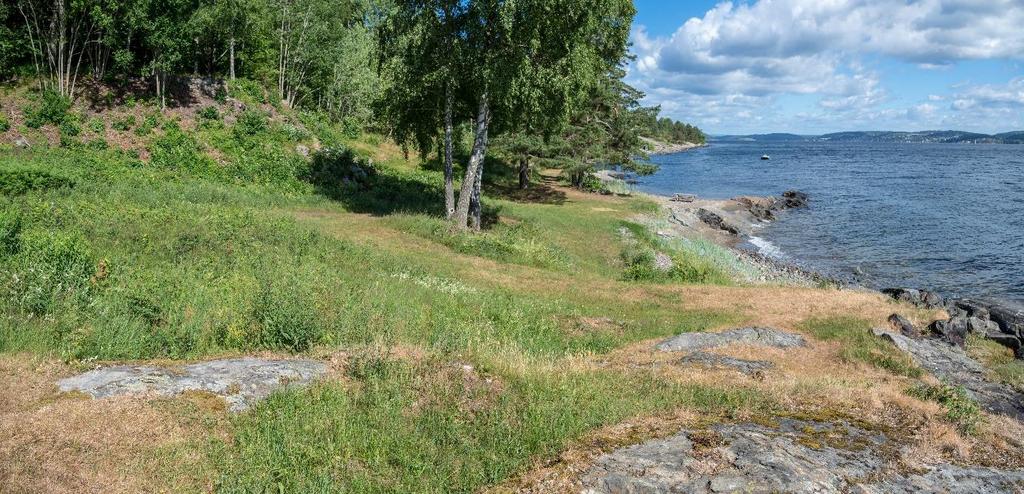 Undersøkelsesområde og tidligere undersøkelser Eltornastranda ligger sydvest på Hurumhalvøya i Hurum kommune, nærmere bestemt 3,5 km nord for Filtvedt i en smal sone mellom Storsandveien i vest og