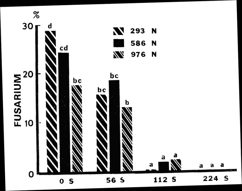 Hovedeffekt av N, S og på Microdochium (Fusarium) i Astoira