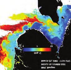 KAPITTEL 6 25. mars 2001 Temperatur 25. mars 2001 Klorofyll t C mg/m 3 Figur 6.50 Temperatur og klorofyll-a i overfl atelaget i Skagerrak 25. mars 2001. Satellittmålinger ved SeaWifs.