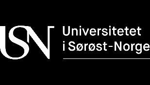 Styret ved Universitetet i Sørøst-Norge Dato: 19.10.2018 kl.