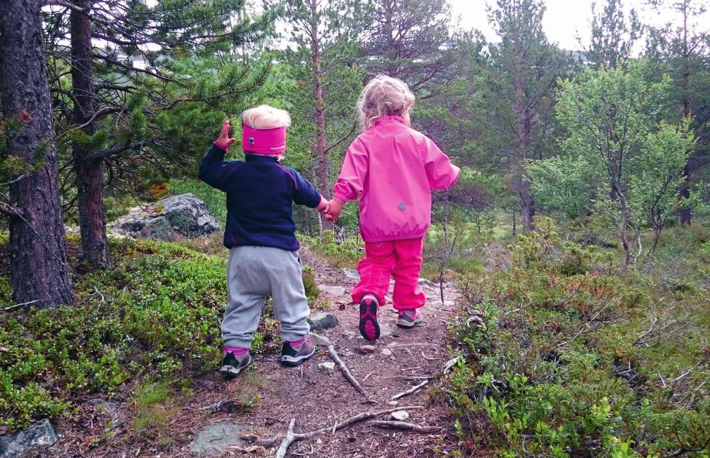 Tabellen nedanfor viser kva nye stader det kan vere aktuelt å informere om verneområda i Breheimen, i tillegg til dei lokalitetane som er nemnt ovanfor. Dette bør evt.