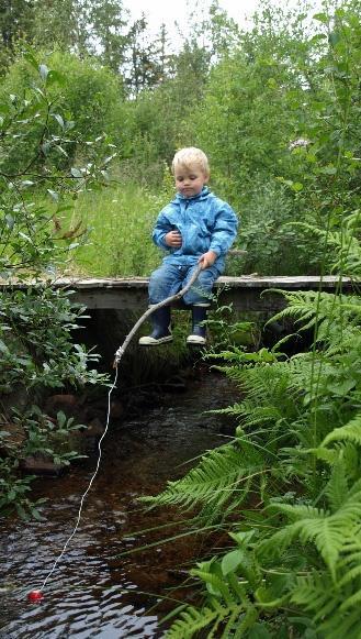 Målet med den nye, helhetlige vannforvaltningen: godt vannmiljø sikre helhetlig