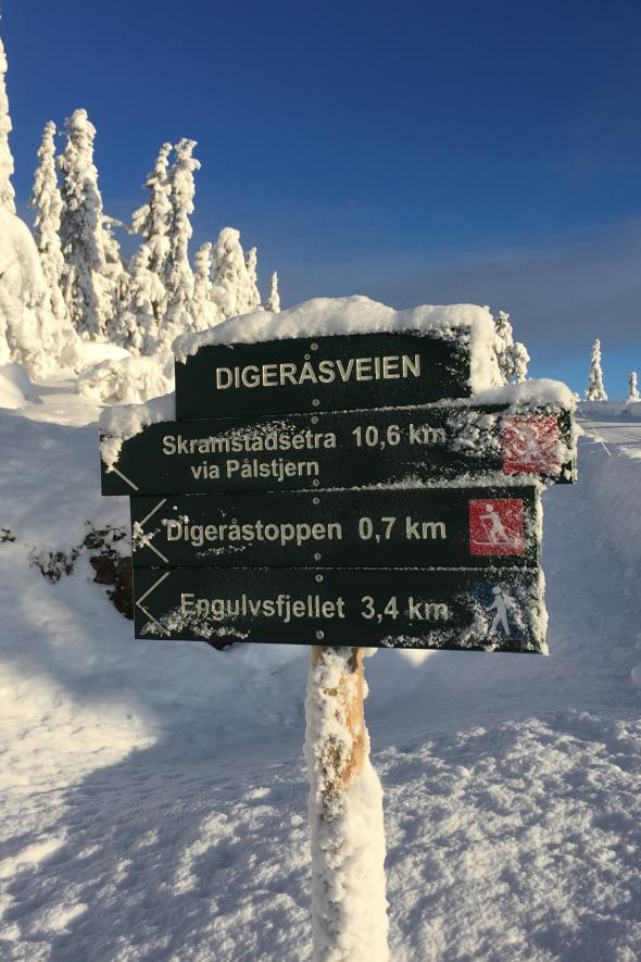 FORDELER Fordeler med ny hytte Førstemann til mølla Vi selger etter prinsippet "førstemann til mølla". Det vil si at du som kunde kan sikre deg den aktuelle hytta uten noen form for budrunde.