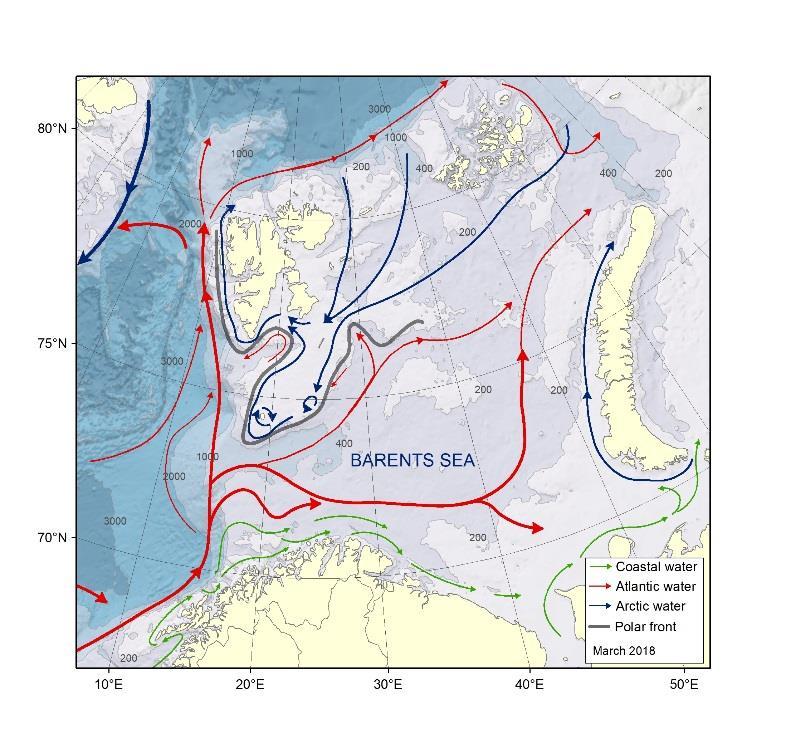 innløpet til Barentshavet og den avtar østover. Disse to vannmassene dominerer i den sørlige delen av Barentshavet (Fig. 4.3).
