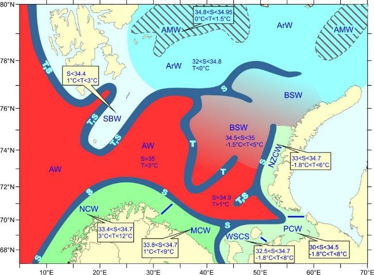 I tillegg finnes det flere vannmasser som dannes lokalt i Barentshavet. Det gjelder Barentshavsvann, Barentshavsbunnvann og Spitsbergenbankvann (Ozhigin et al., 2011).