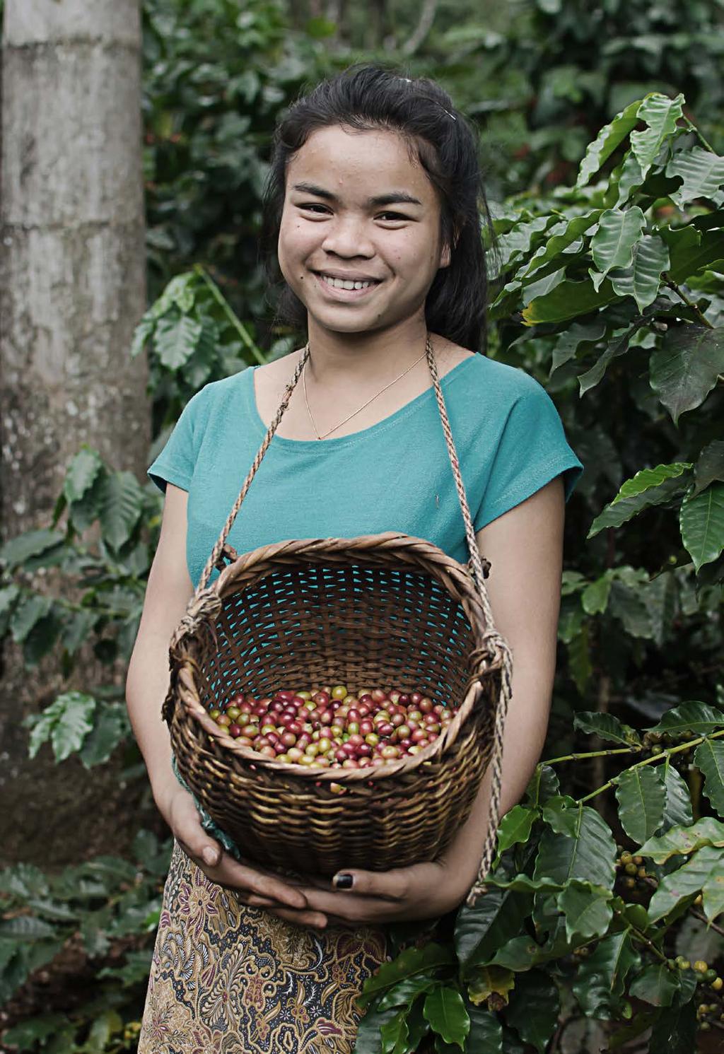 FARMER S COFFEE Farmer s Coffee er basert på 100 % Arabica-bønner. Dyrket i henhold til prinsippene for rettferdig handel og Fairtrade-merket. Kaffen kjennetegnes med god fylde og fin syrlighet.