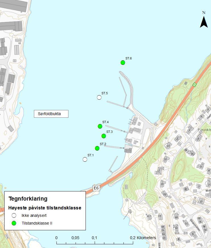 Straumen Båtforening Miljøundersøkelse av sjøbunnsediment multiconsult.no 4 Resultater Figur 4-2: Straumen Båtforening.