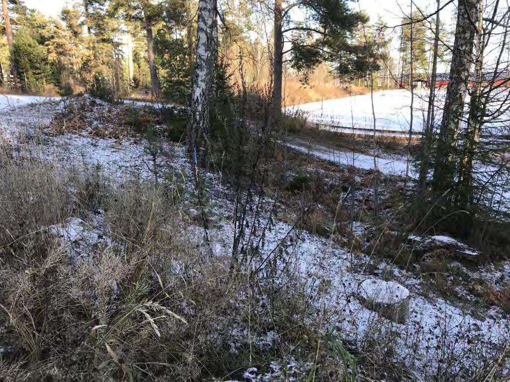 3.2 Naturgeografi og geologi Planområdet ligger i sørboreal vegetasjonssone, og i overgangsseksjonen mellom svakt oseanisk og svakt kontinental vegetasjonsseksjon.