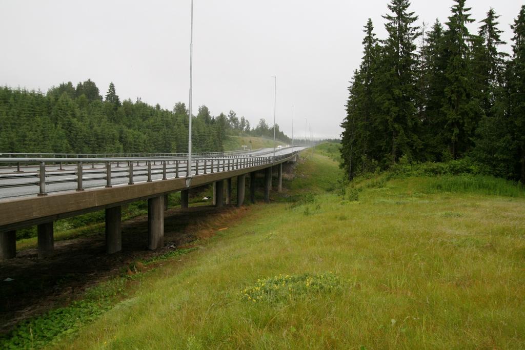5 m Lengde : 30 m Lokalitetsnavn : Kleiva Type : Kulvert Åpenhet : 0,6 Faunapassasje type Undergang Bildet viser en bro som fungerer som en