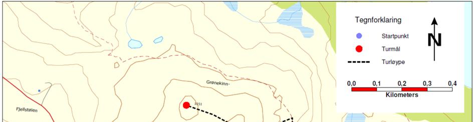 5. Info om Grønekinnkampen (1151moh) Kjør