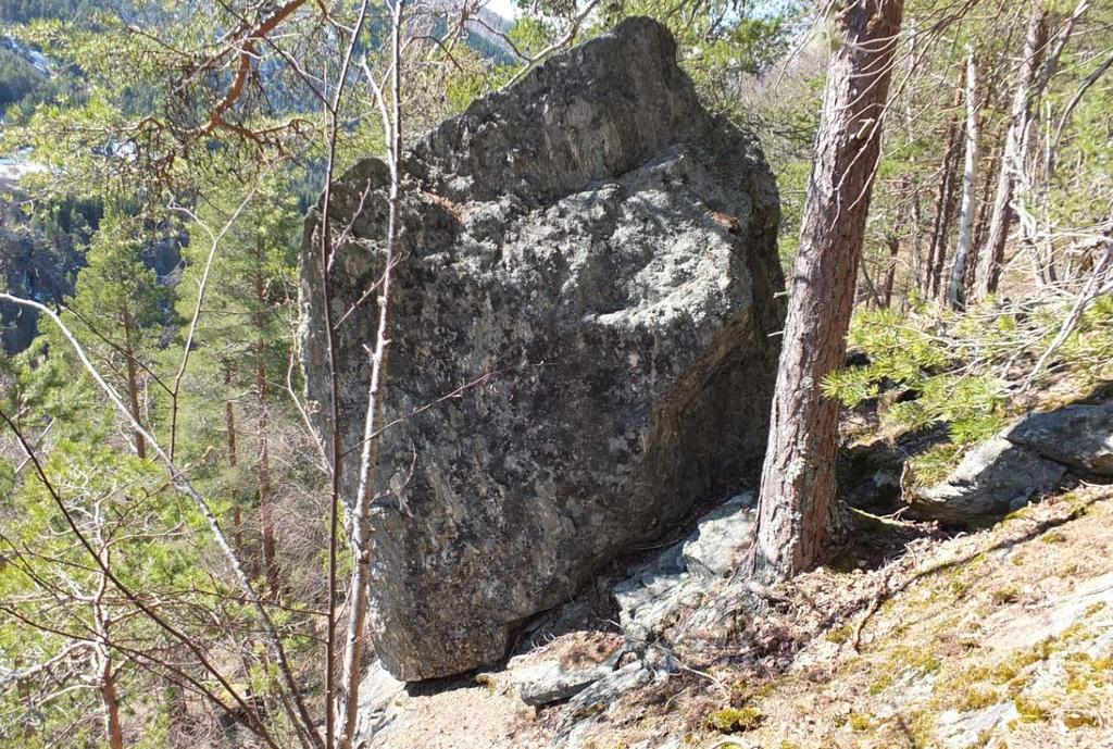 Figur 13. Steinen sett fra østsiden.