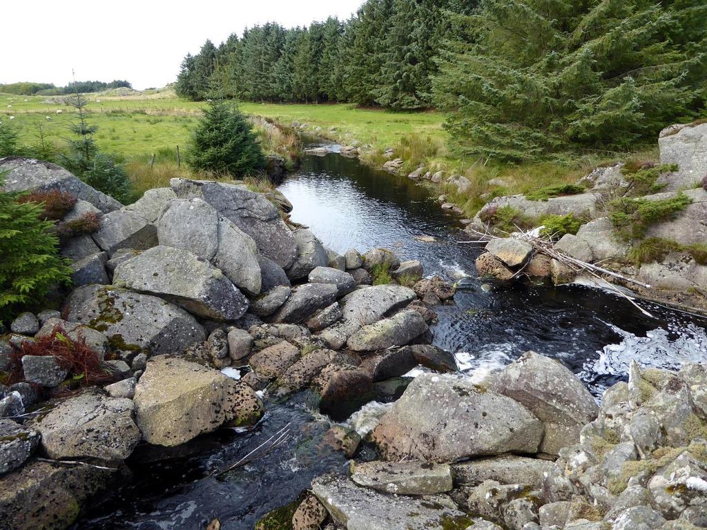 2 Områdebeskrivelse Karmøy, kommune i Rogaland fylke, sørvest for Haugesund, består av øya Karmøy (176,8 km 2 ) og noen småøyer utenfor denne, blant annet Feøy (1,3 km 2 ), halvøya mellom Karmsundet