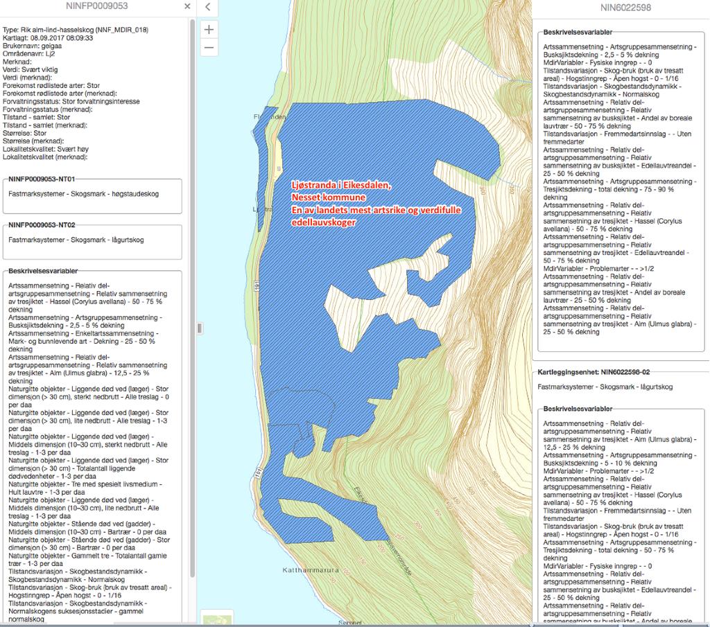 Figur 20 Resultat av årets NiN-kartlegging innenfor to utvalgte ruter på Ljåstranda i Eikesdalen, Nesset kommune, MR fylke (hentet fra innsynsløsningen på Web til Miljødirektoratet).