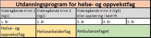 Rekruttering av faglært personell i distrikter med begrenset befolkningsmengde er en utfordring.