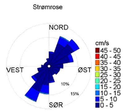 Figur 2.1.2 Strømforhold. Fordelingsdiagrammet til venstre angir strømstyrke og retningsfordeling.