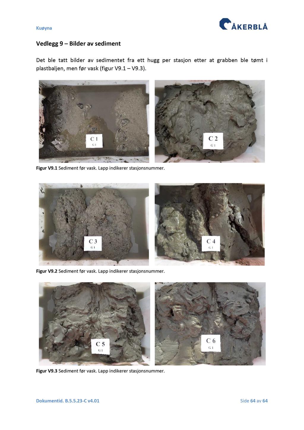 Vedlegg 9 Bilder av sediment Det ble tatt bilder av sedimentet fra ett hugg per stasjon etter at grabben ble tømt i plastbalj en, men før vask ( figur V 9.1 V 9.3 ). Figur V 9.1 Sediment før vask.