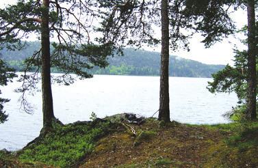 1972 til og med 27. Undersøkelsene er utført på oppdrag fra Oppegård kommune. Det finnes systematiserte data fra Gjersjøen og Kolbotnvannet helt tilbake til 1972.