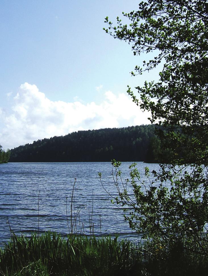 Innledning og historikk NIVA har siden 196-tallet overvåket vannkvaliteten både i Gjersjøen og Kolbotnvannet med tilløpsbekker.