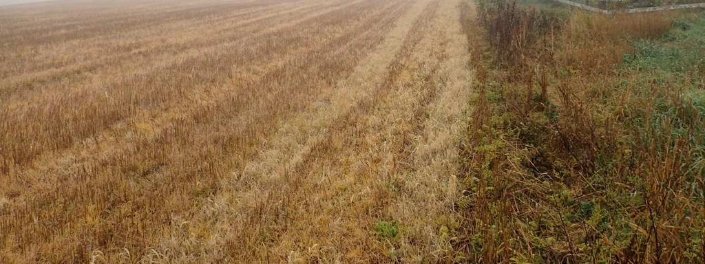 Monserudpensen- Vann og avløpsledninger i Blaker- Sørum kommune Foto 2: Nordvestre del av traseen, fra søndre del av flaten sett mot nord Steds- og gårdsnavn Gårdsnavnene i et område kan i mange