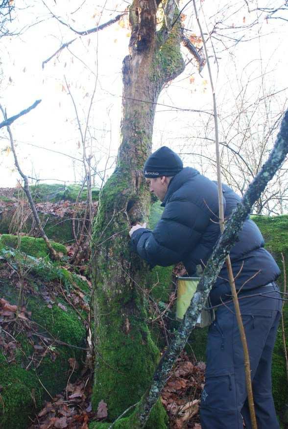 Kilder: DN, naturbase Befaring/registrering utført av Asplan Viak