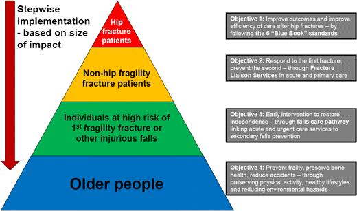 Department of Health in England (2009) Prevention package for older people.