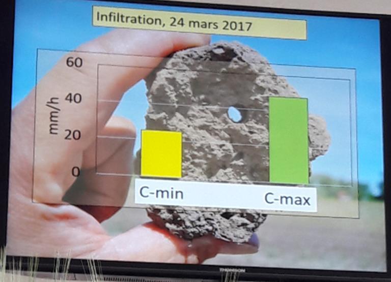 Nyere forsøk har vist at: Er det godt med organisk materiale, er det positivt for meitemarken Ingen eng i vekstskiftet, gav få meitemark (Systemforsøkene Apelsvoll) Høstpløying gav lite mark