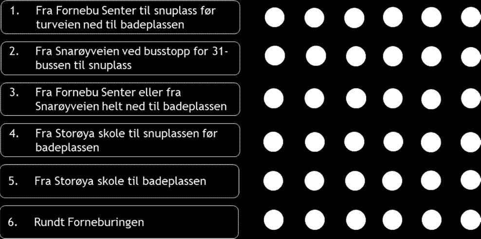 Kostnader (antall busser for å etablere et godt tilbud) Rutens kompleksitet Nytte for brukerne Positiv eksponering Mulighet for permanent drift Behov