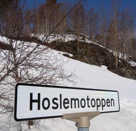 HOVDEN SØR- HOSLEMOTOPPEN Hoslemotoppen Hyttefelt, 4754 BYKLE